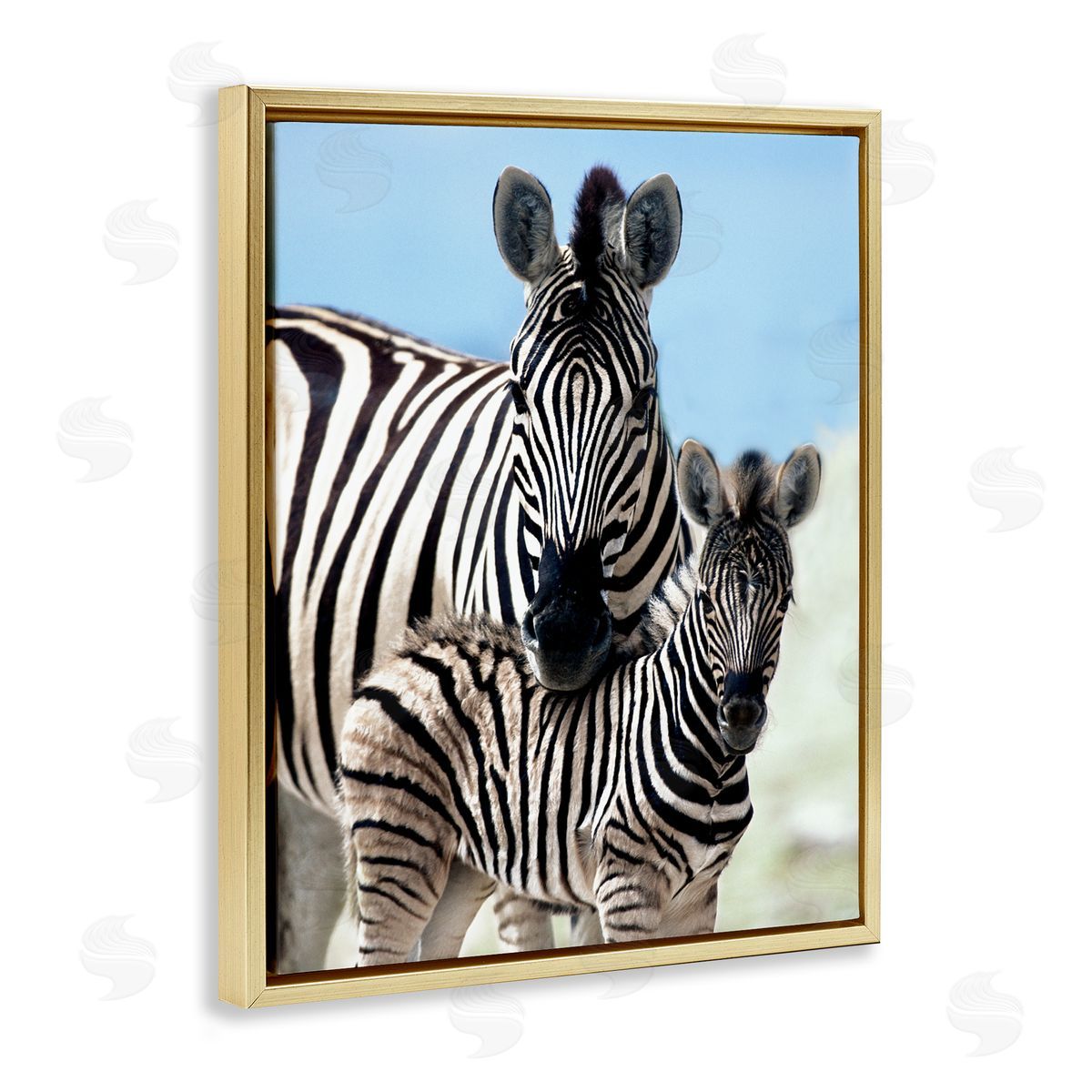 Danita Delimont Uplifting Zebra Family Mother Child Savanna Animals Gold Floating Frame Canvas Wall Art Print