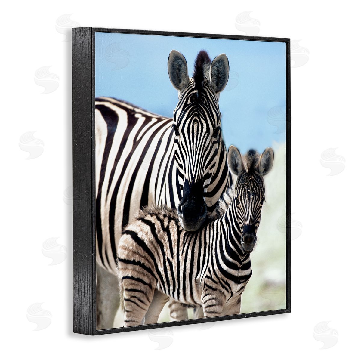 Danita Delimont Uplifting Zebra Family Mother Child Savanna Animals Black Framed Giclee Wall Art Print
