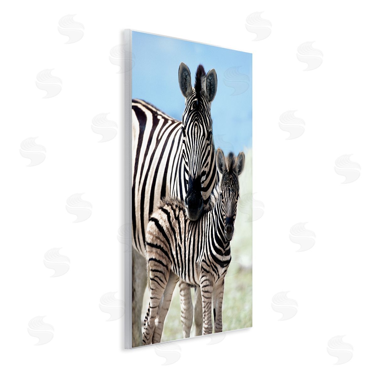 Danita Delimont Uplifting Zebra Family Mother Child Savanna Animals Wall Plaque Art Print