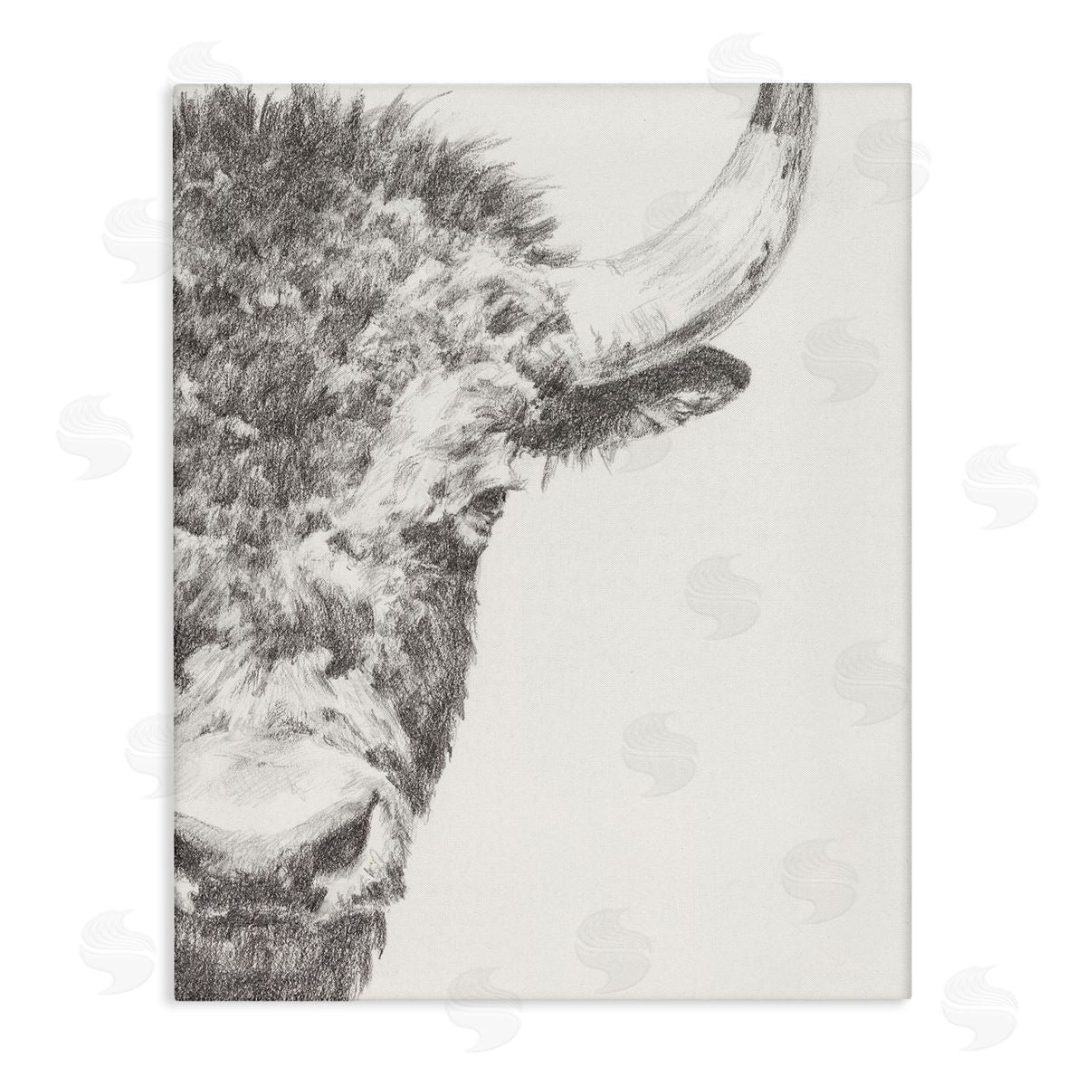 Ethan Harper Rural Bison Animal Drawing Detailed Graphite Wildlife Stretched Canvas Wall Art Print