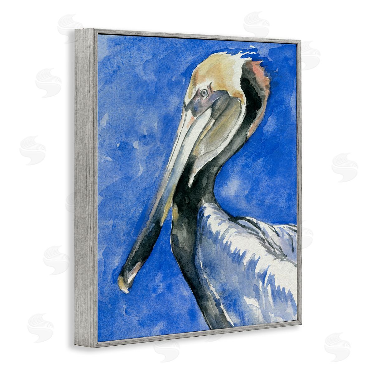 Jennifer Paxton Parker Vivid Pelican Wildlife Bird Blue Watercolor Detail  Gray Framed Giclee Wall Art Print