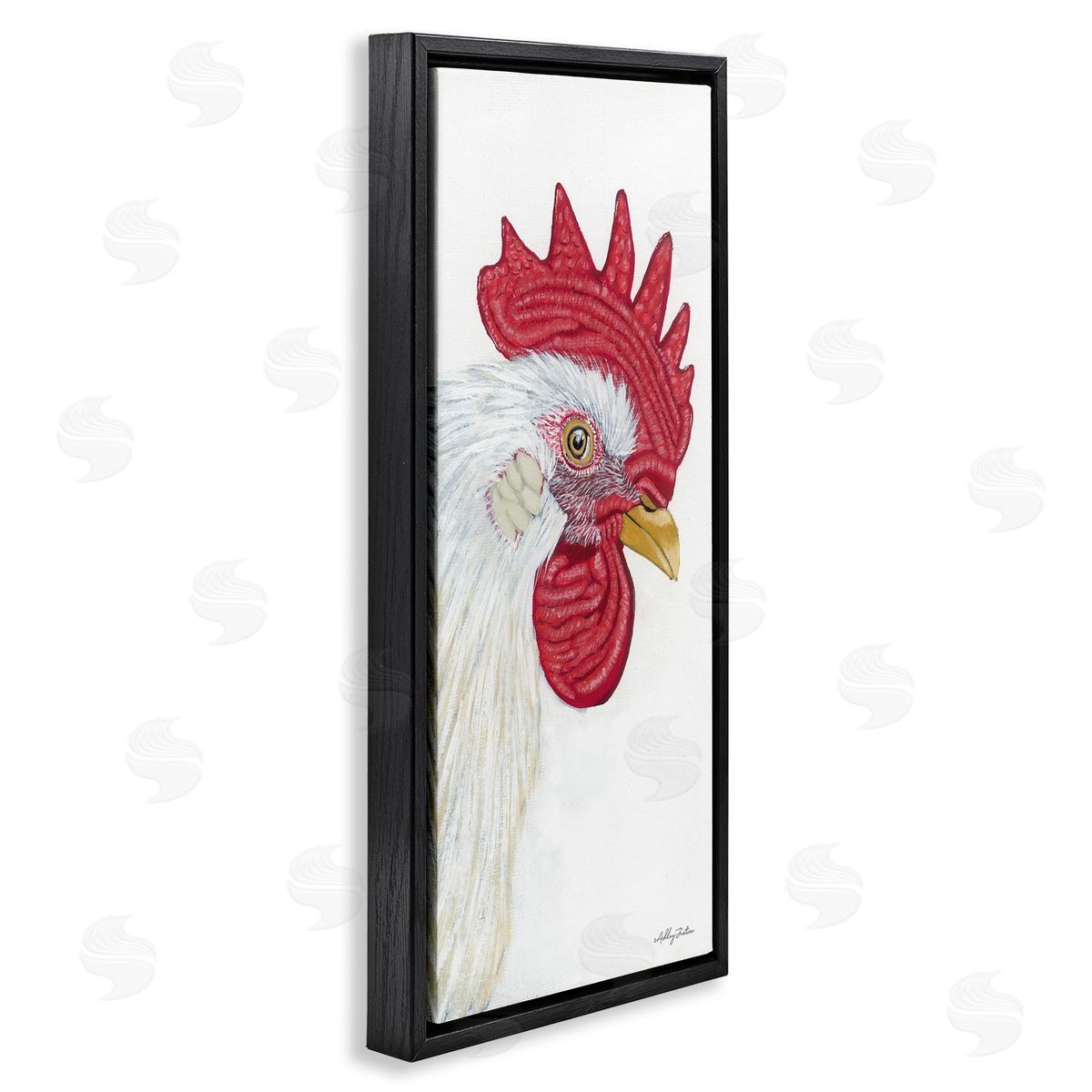 Ashley Justice Casual Chicken Rooster Farm Wildlife Portrait 