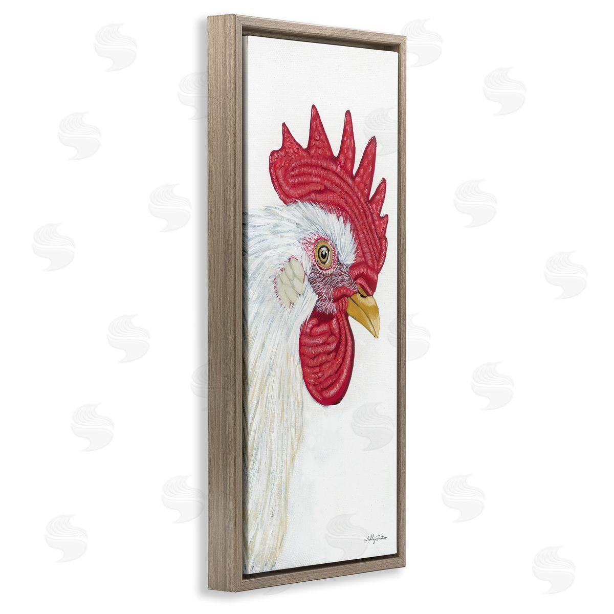 Ashley Justice Casual Chicken Rooster Farm Wildlife Portrait 