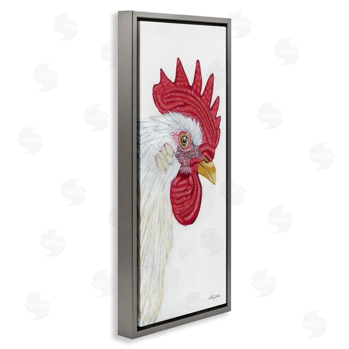 Ashley Justice Casual Chicken Rooster Farm Wildlife Portrait 