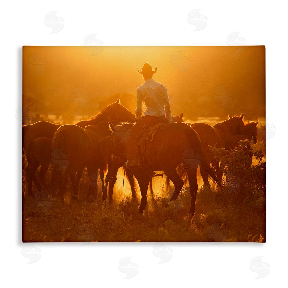Lisa Dearing Warm Sunlit Cowboy Riding Horse Rural Ranch  Stretched Canvas Wall Art Print