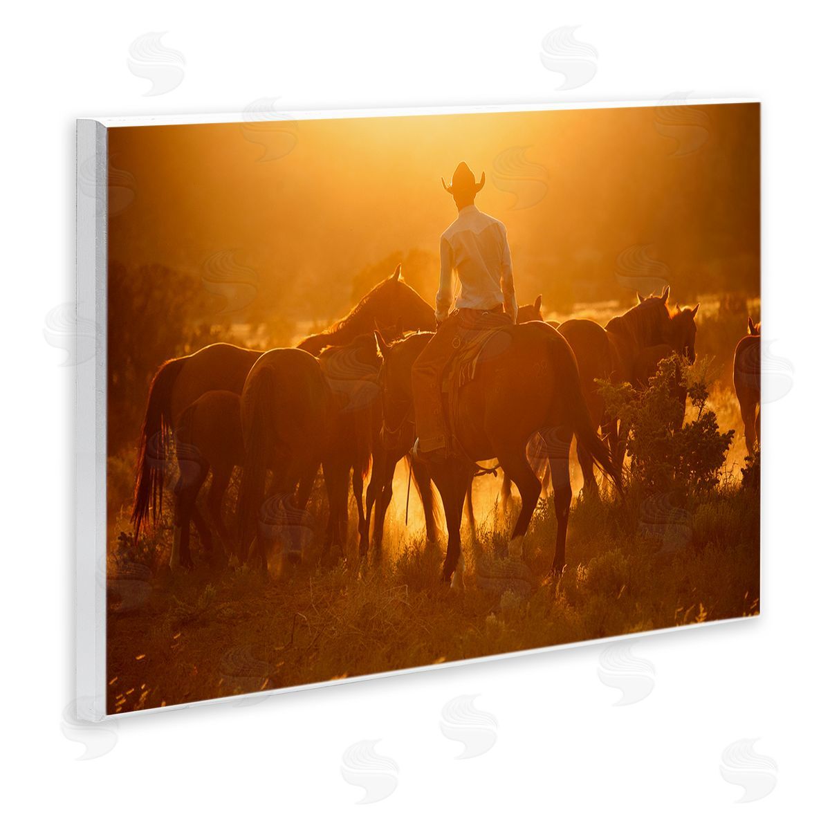 Lisa Dearing Warm Sunlit Cowboy Riding Horse Rural Ranch  Wall Plaque Art Print