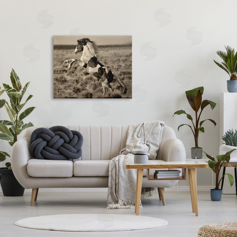 Lisa Dearing Rearing Spotted Horse Rural Countryside Field Photography Canvas Wall Art Print in Room