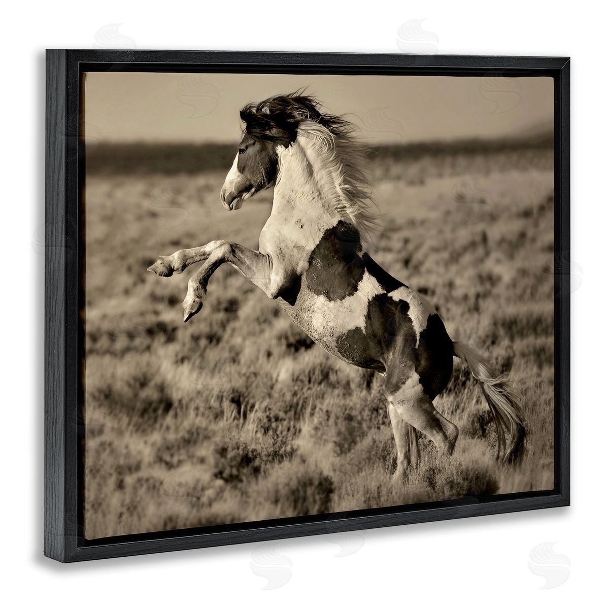Lisa Dearing Rearing Spotted Horse Rural Countryside Field Photography Black Floating Frame Canvas Wall Art Print