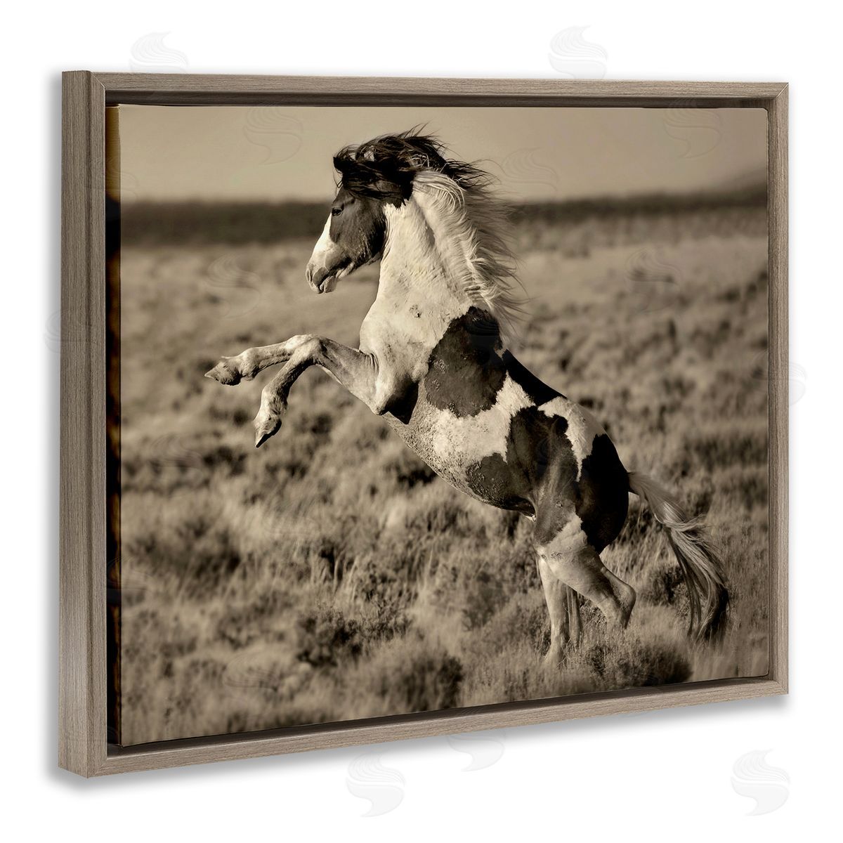 Lisa Dearing Rearing Spotted Horse Rural Countryside Field Photography Brown Floating Frame Canvas Wall Art Print