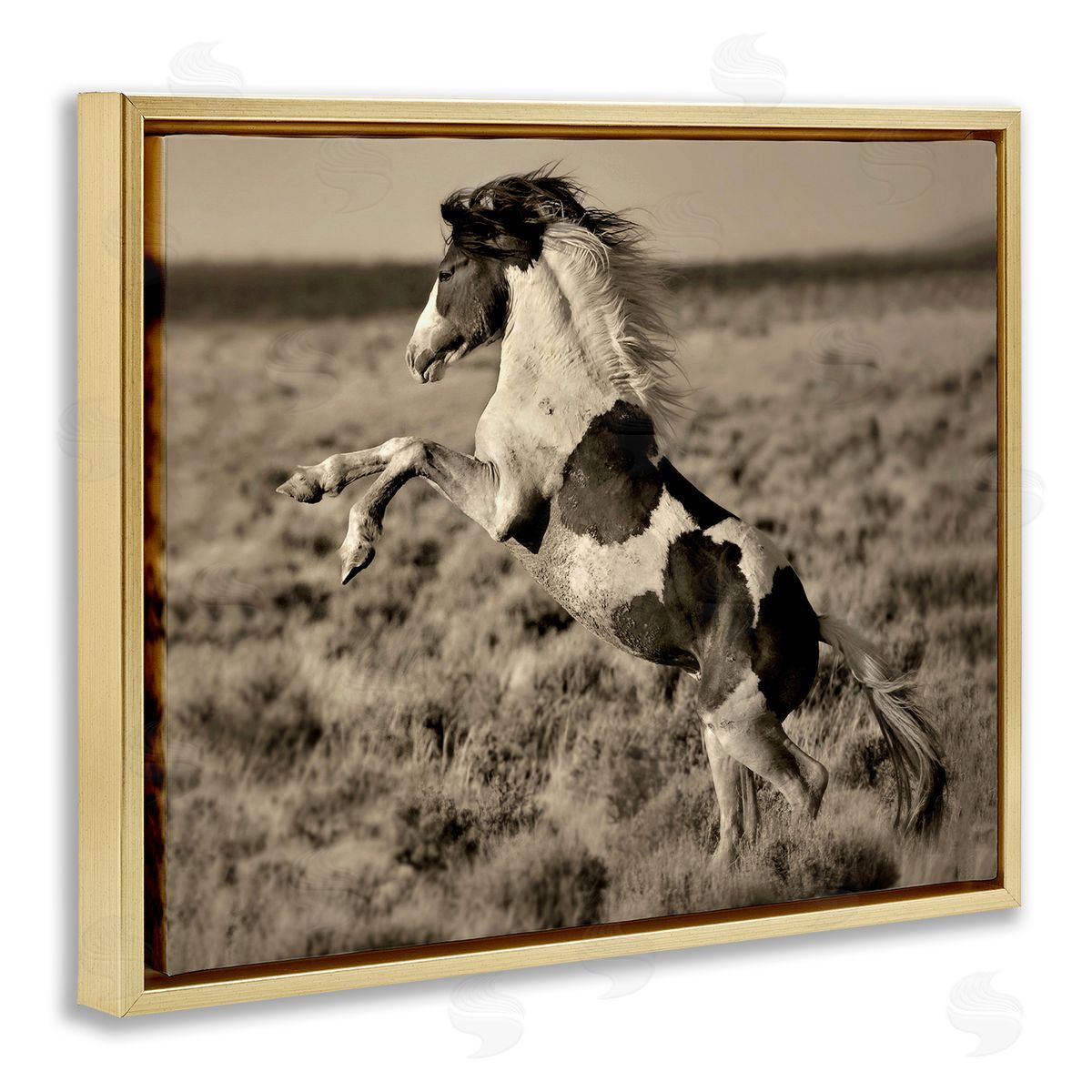 Lisa Dearing Rearing Spotted Horse Rural Countryside Field Photography Gold Floating Frame Canvas Wall Art Print