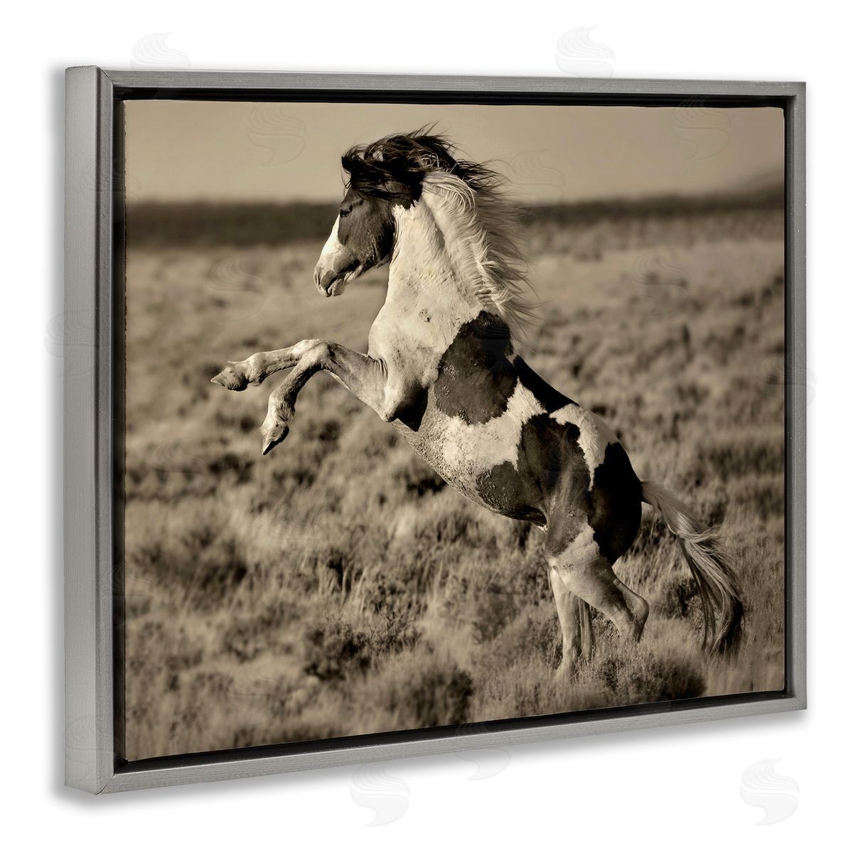 Lisa Dearing Rearing Spotted Horse Rural Countryside Field Photography Gray Floating Frame Canvas Wall Art Print