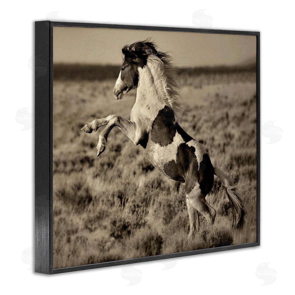 Lisa Dearing Rearing Spotted Horse Rural Countryside Field Photography Black Framed Giclee Wall Art Print