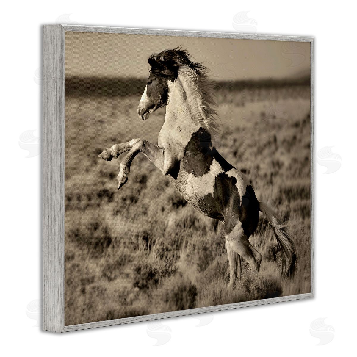 Lisa Dearing Rearing Spotted Horse Rural Countryside Field Photography Gray Framed Giclee Wall Art Print