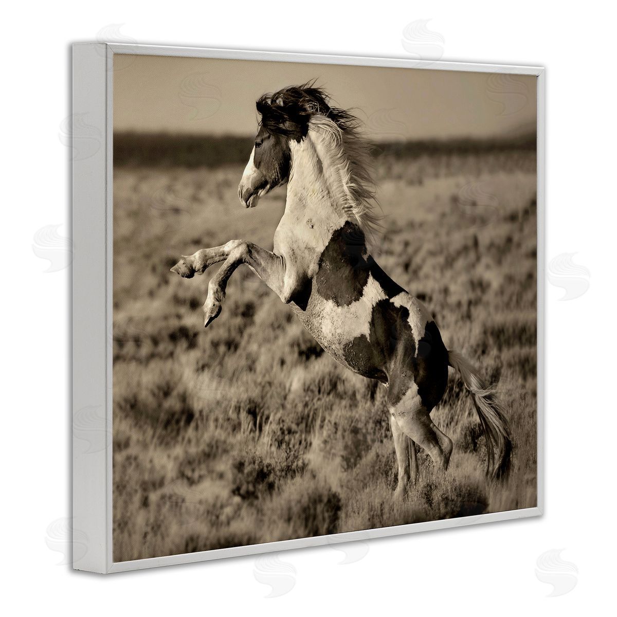 Lisa Dearing Rearing Spotted Horse Rural Countryside Field Photography White Framed Giclee Wall Art Print