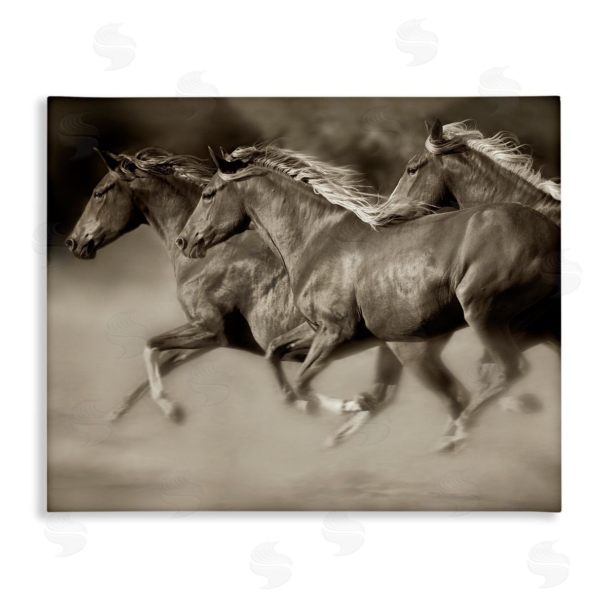 Lisa Dearing Galloping Horse Herd Trotting Wild Animal Photography Stretched Canvas Wall Art Print