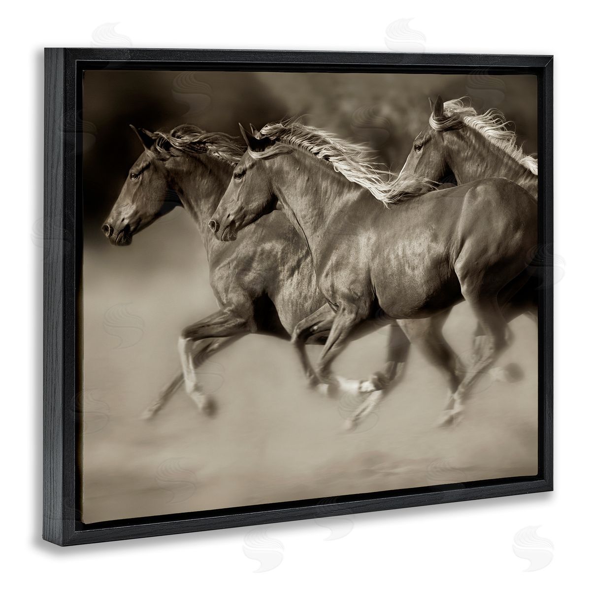 Lisa Dearing Galloping Horse Herd Trotting Wild Animal Photography Black Floating Frame Canvas Wall Art Print