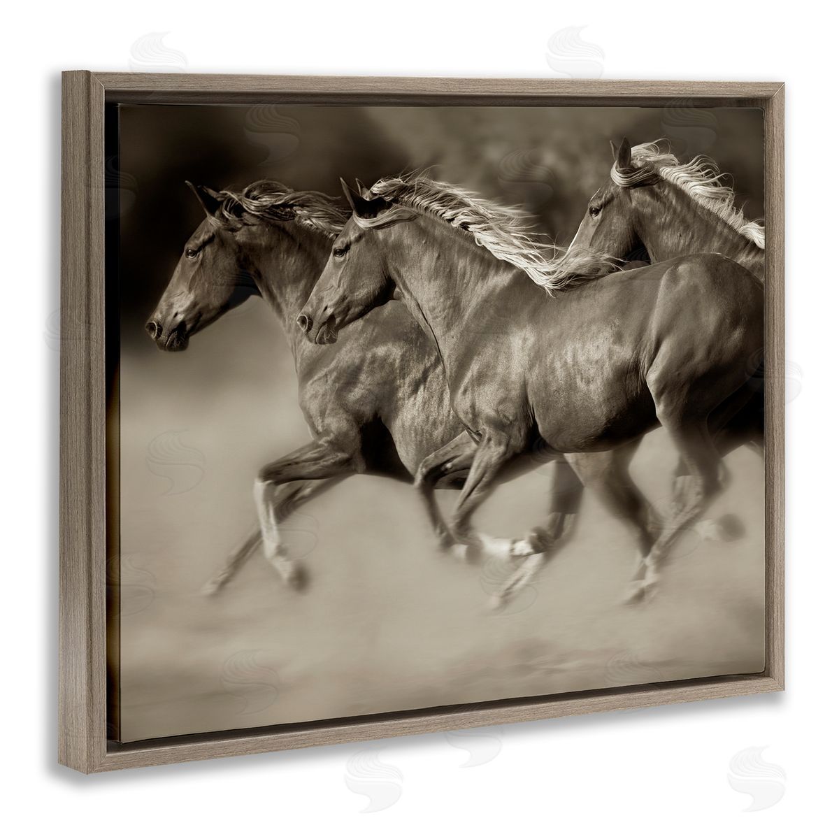 Lisa Dearing Galloping Horse Herd Trotting Wild Animal Photography Brown Floating Frame Canvas Wall Art Print