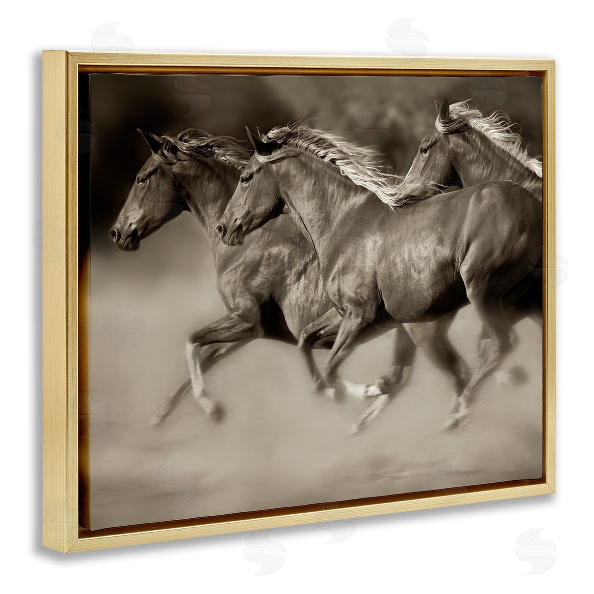 Lisa Dearing Galloping Horse Herd Trotting Wild Animal Photography Gold Floating Frame Canvas Wall Art Print