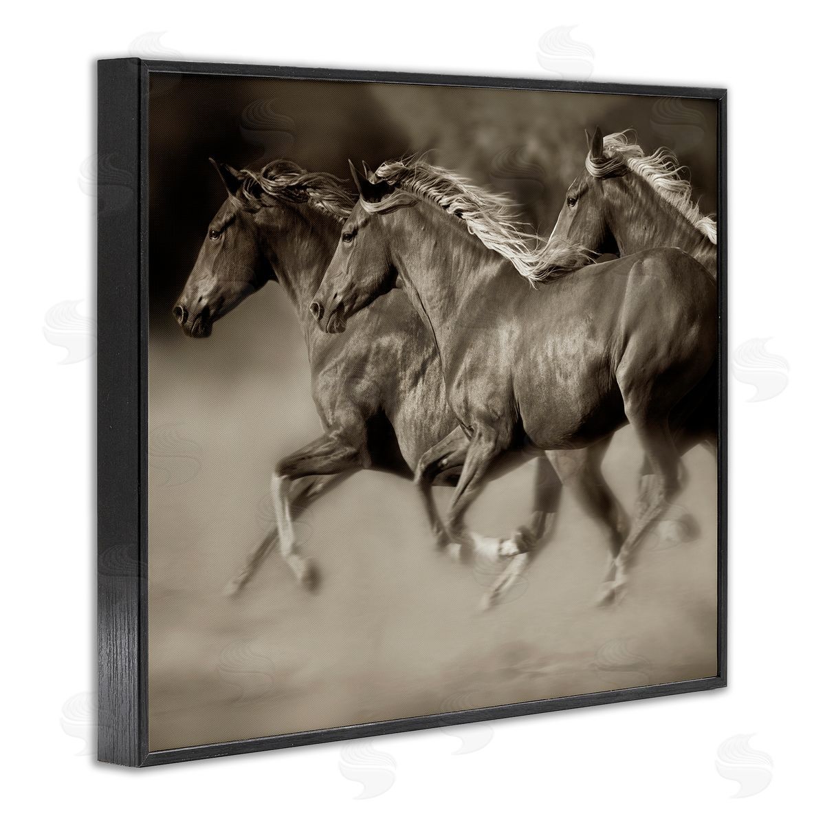 Lisa Dearing Galloping Horse Herd Trotting Wild Animal Photography Black Framed Giclee Wall Art Print