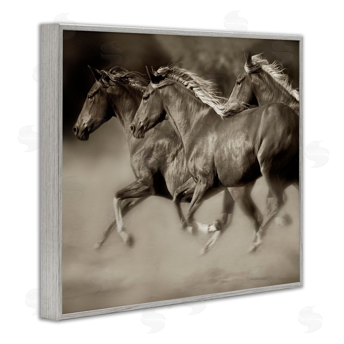 Lisa Dearing Galloping Horse Herd Trotting Wild Animal Photography Gray Framed Giclee Wall Art Print