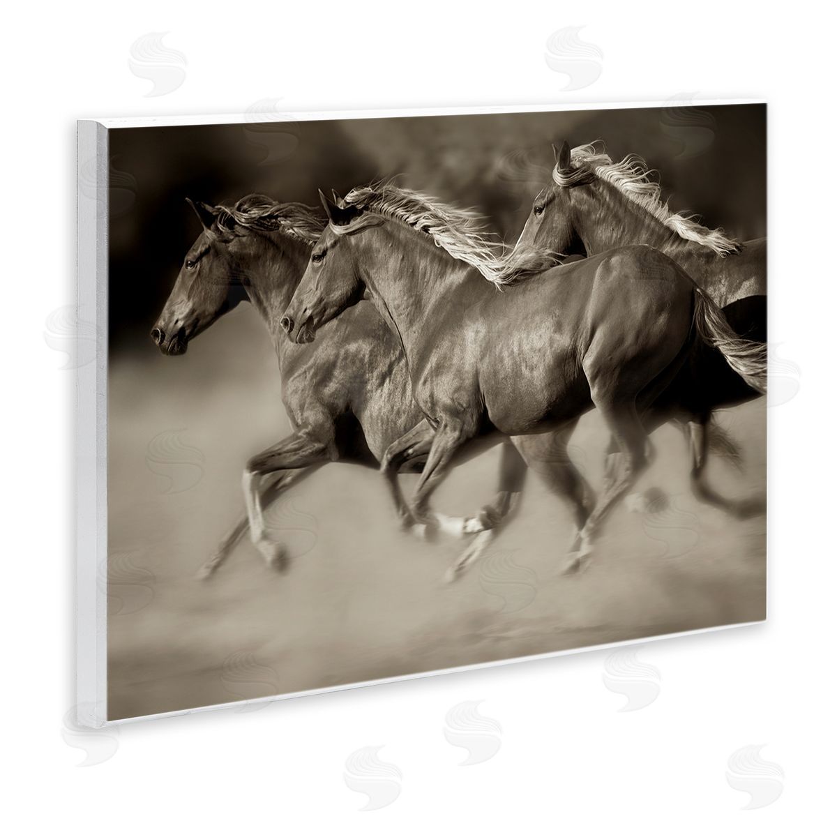 Lisa Dearing Galloping Horse Herd Trotting Wild Animal Photography Wall Plaque Art Print