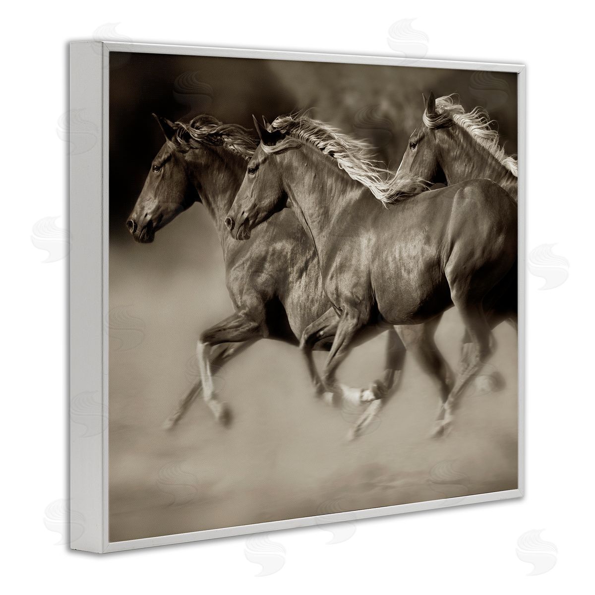 Lisa Dearing Galloping Horse Herd Trotting Wild Animal Photography White Framed Giclee Wall Art Print