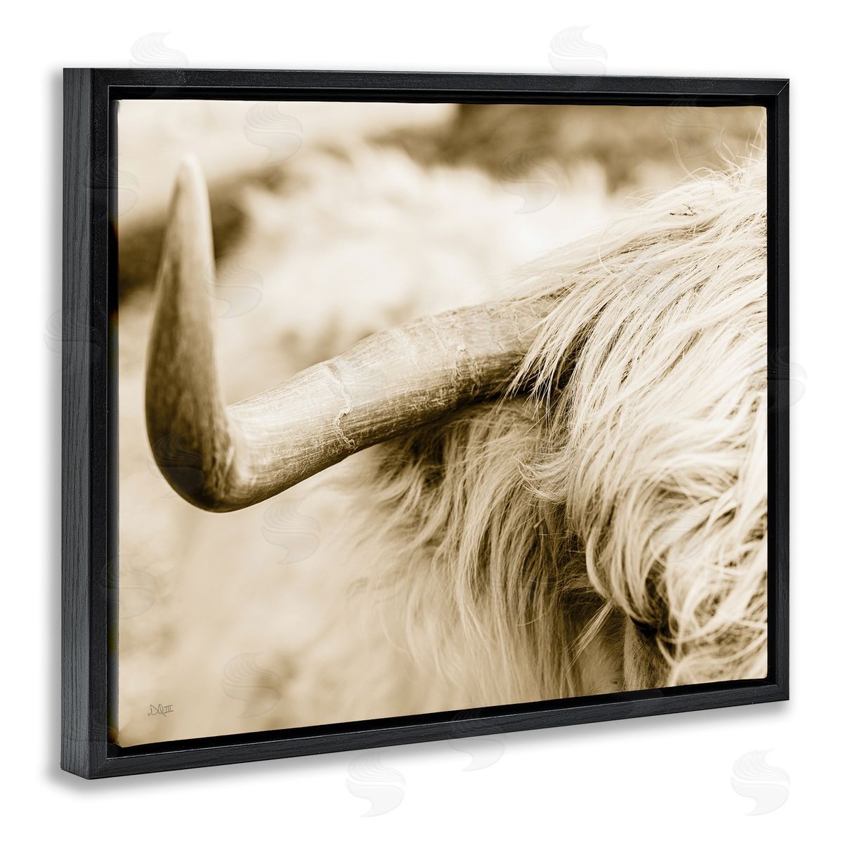 Donnie Quillen Beautiful Longhorn Highland Cattle Horn Sepia Photography Black Floating Frame Canvas Wall Art Print