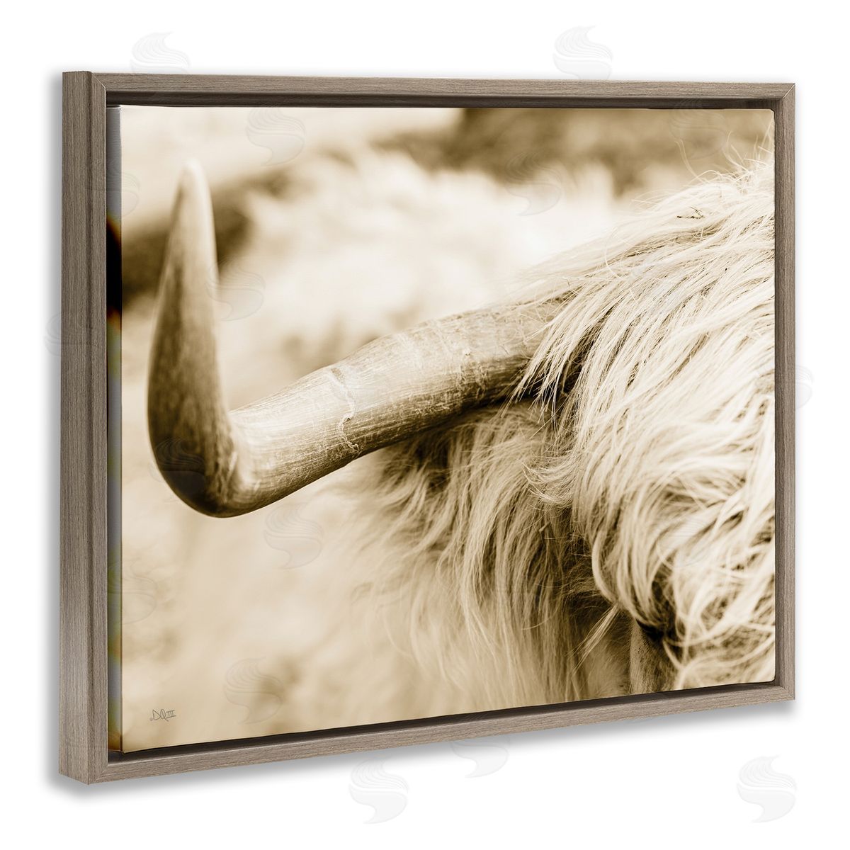 Donnie Quillen Beautiful Longhorn Highland Cattle Horn Sepia Photography Brown Floating Frame Canvas Wall Art Print