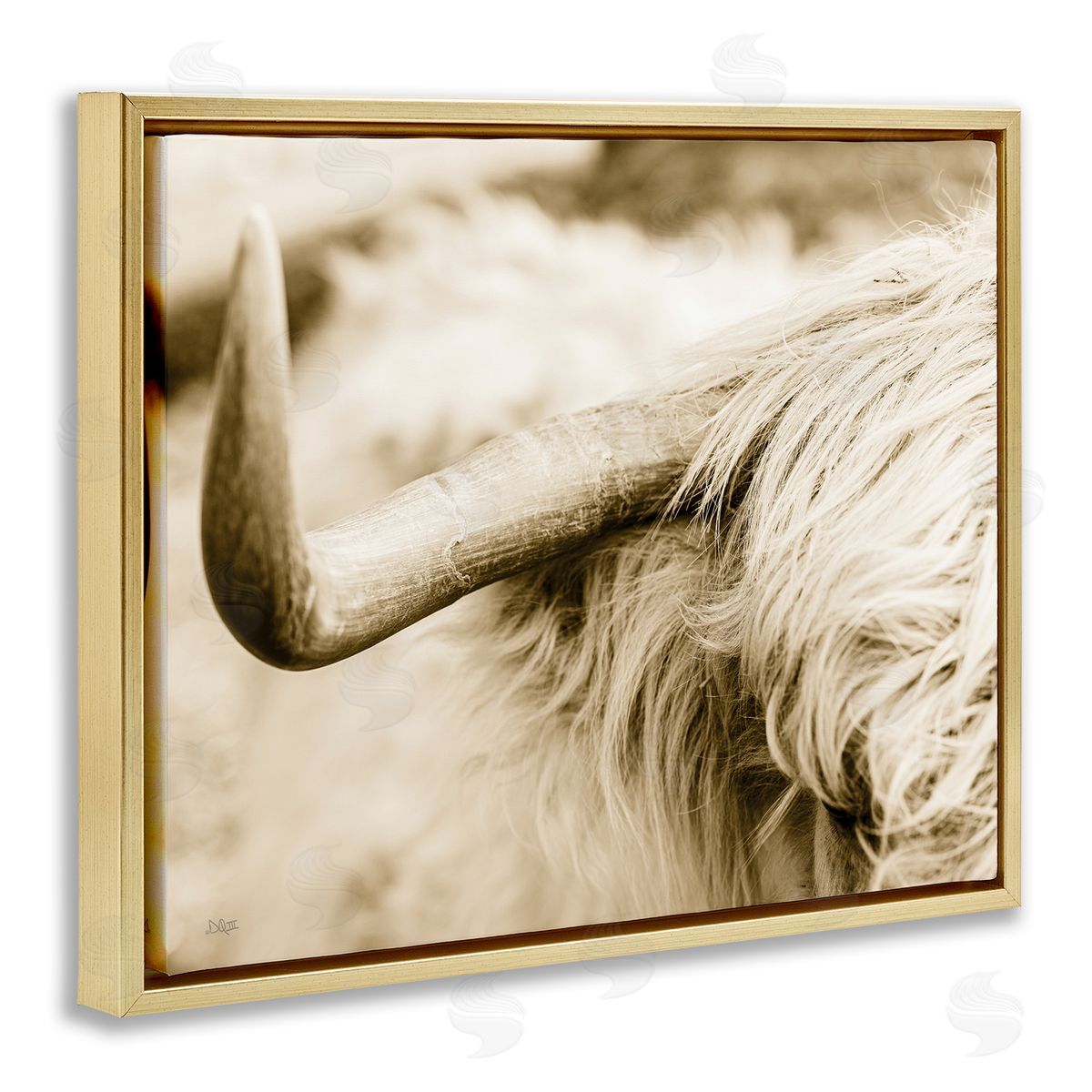 Donnie Quillen Beautiful Longhorn Highland Cattle Horn Sepia Photography Gold Floating Frame Canvas Wall Art Print
