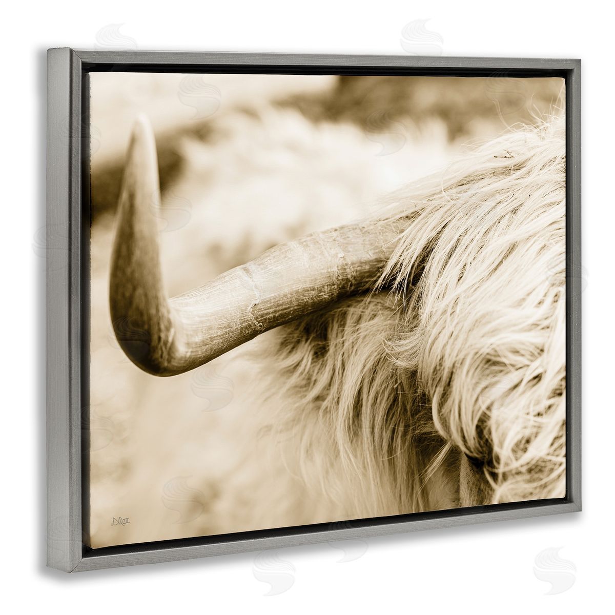 Donnie Quillen Beautiful Longhorn Highland Cattle Horn Sepia Photography Gray Floating Frame Canvas Wall Art Print