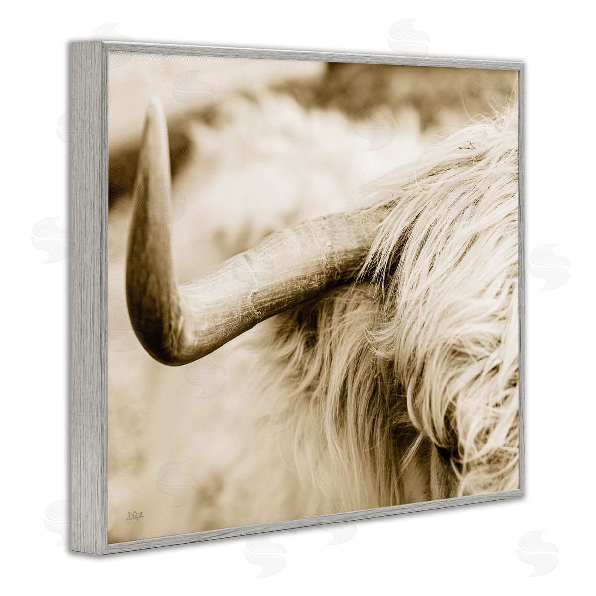 Donnie Quillen Beautiful Longhorn Highland Cattle Horn Sepia Photography Gray Framed Giclee Wall Art Print