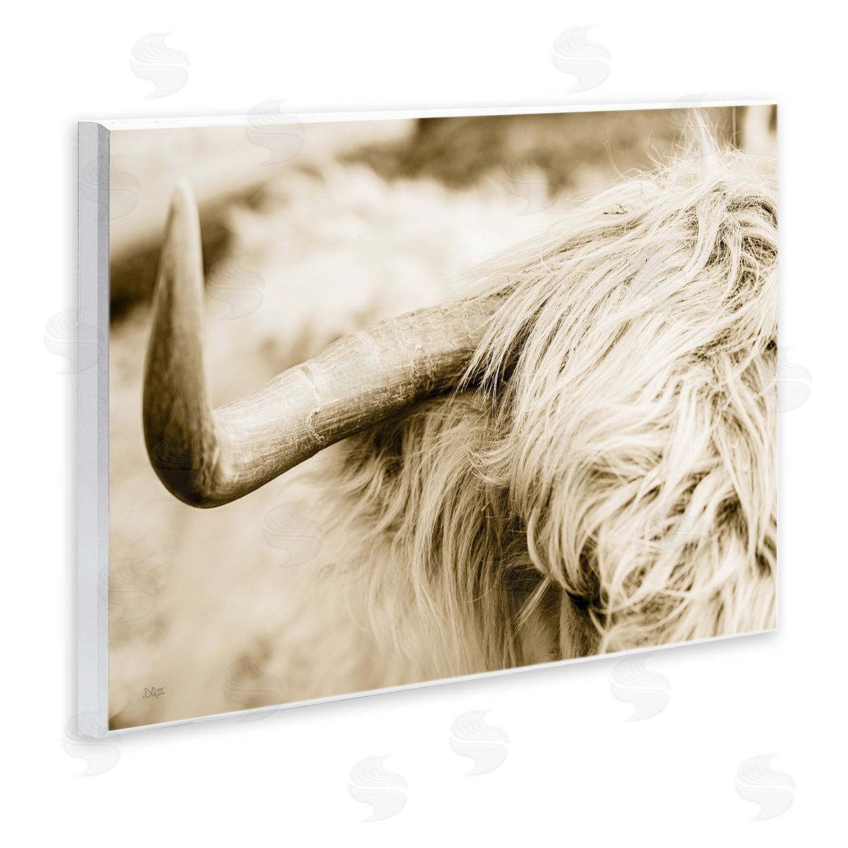 Donnie Quillen Beautiful Longhorn Highland Cattle Horn Sepia Photography Wall Plaque Art Print