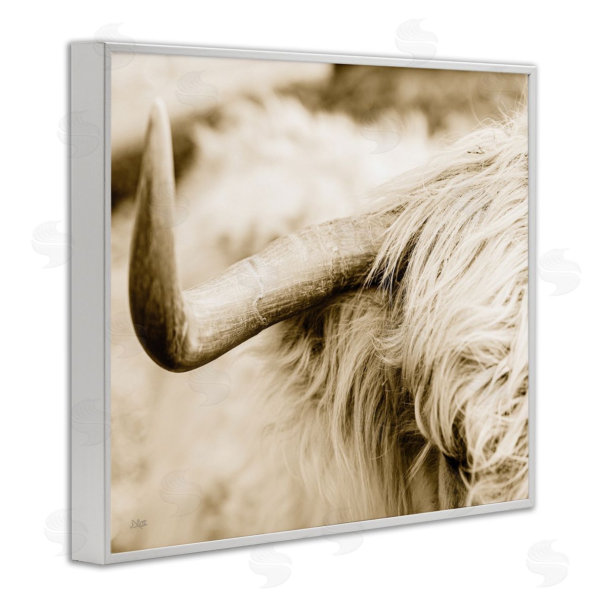 Donnie Quillen Beautiful Longhorn Highland Cattle Horn Sepia Photography White Framed Giclee Wall Art Print