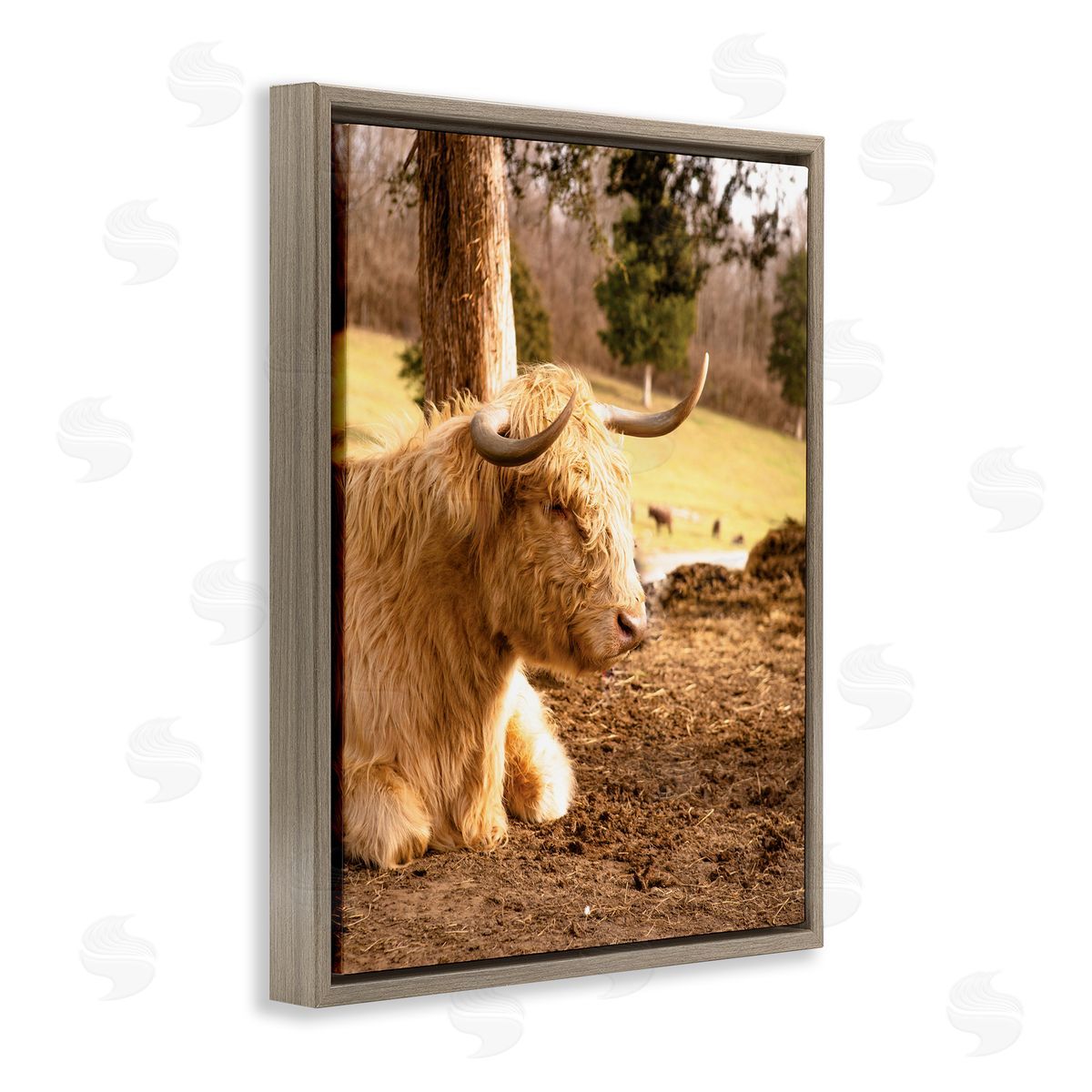 Donnie Quillen Relaxing Cattle Lying Beneath Tree Grazing Farmland Meadow  Brown Floating Frame Canvas Wall Art Print