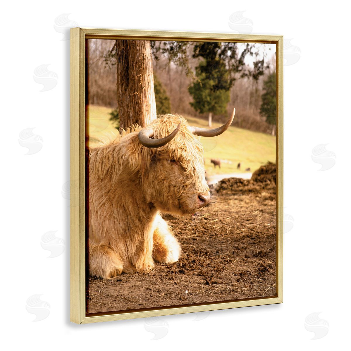 Donnie Quillen Relaxing Cattle Lying Beneath Tree Grazing Farmland Meadow  Gold Floating Frame Canvas Wall Art Print