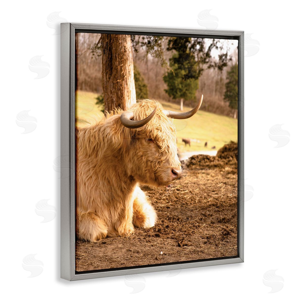 Donnie Quillen Relaxing Cattle Lying Beneath Tree Grazing Farmland Meadow  Gray Floating Frame Canvas Wall Art Print
