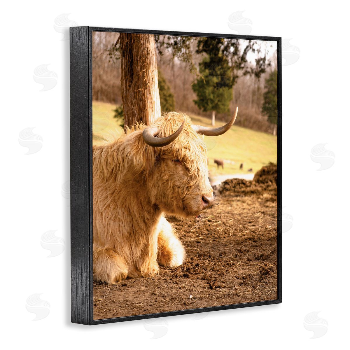 Donnie Quillen Relaxing Cattle Lying Beneath Tree Grazing Farmland Meadow  Black Framed Giclee Wall Art Print