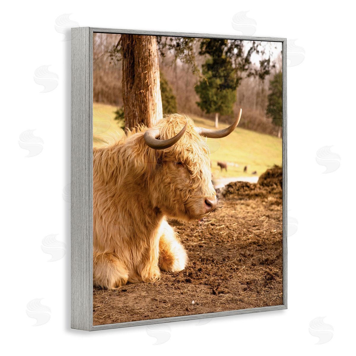 Donnie Quillen Relaxing Cattle Lying Beneath Tree Grazing Farmland Meadow  Gray Framed Giclee Wall Art Print