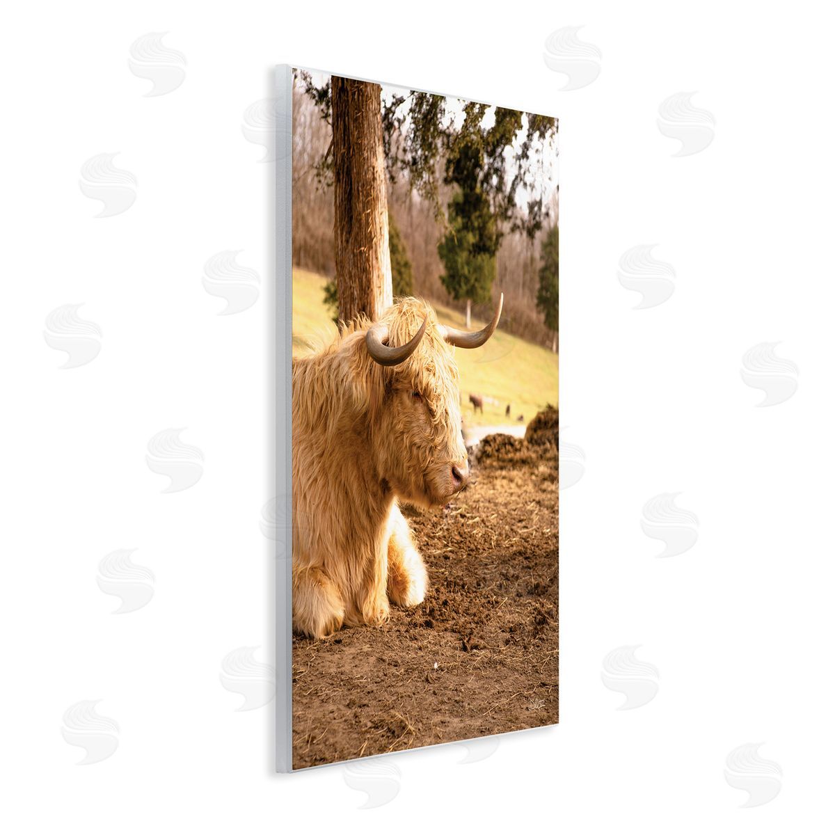 Donnie Quillen Relaxing Cattle Lying Beneath Tree Grazing Farmland Meadow  Wall Plaque Art Print