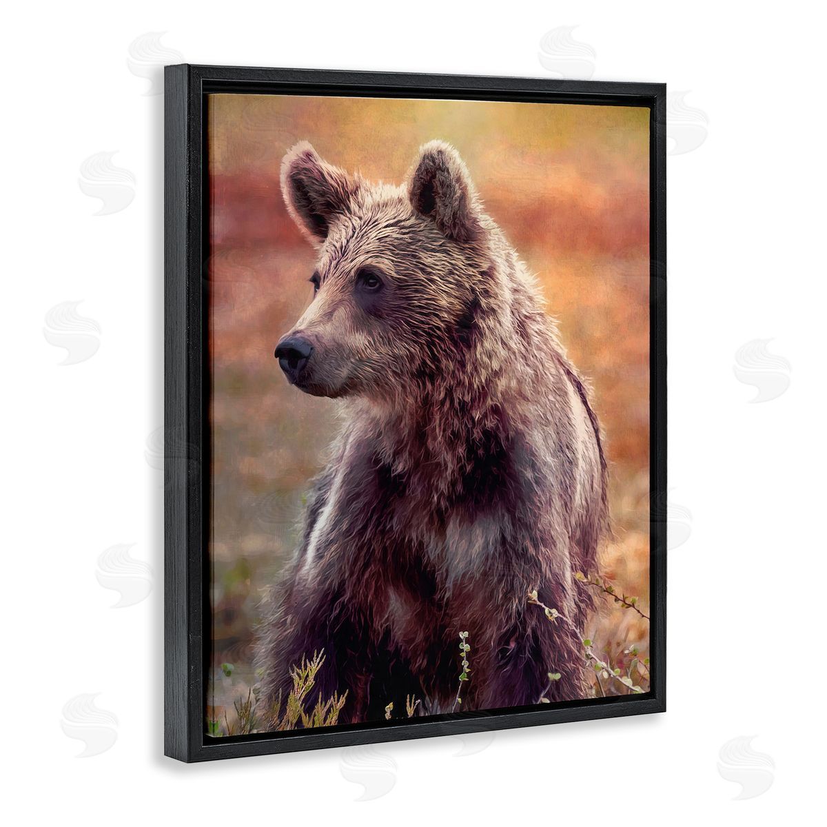 Alpenglow Workshop Majestic Baby Bear Warm Sunlit Forest Habitat  Black Floating Frame Canvas Wall Art Print