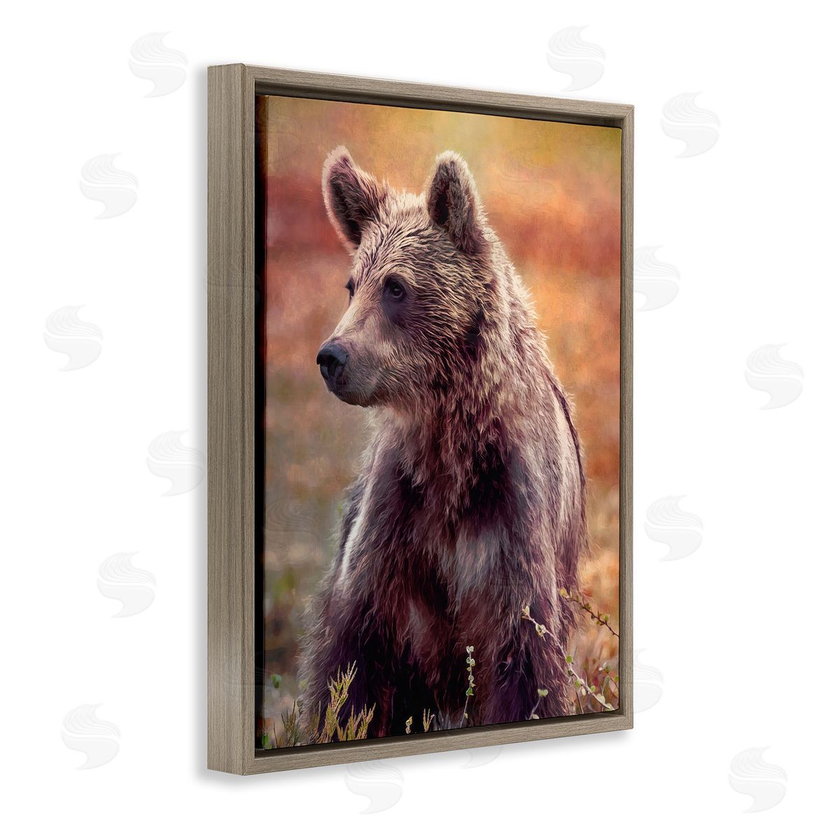Alpenglow Workshop Majestic Baby Bear Warm Sunlit Forest Habitat  Brown Floating Frame Canvas Wall Art Print
