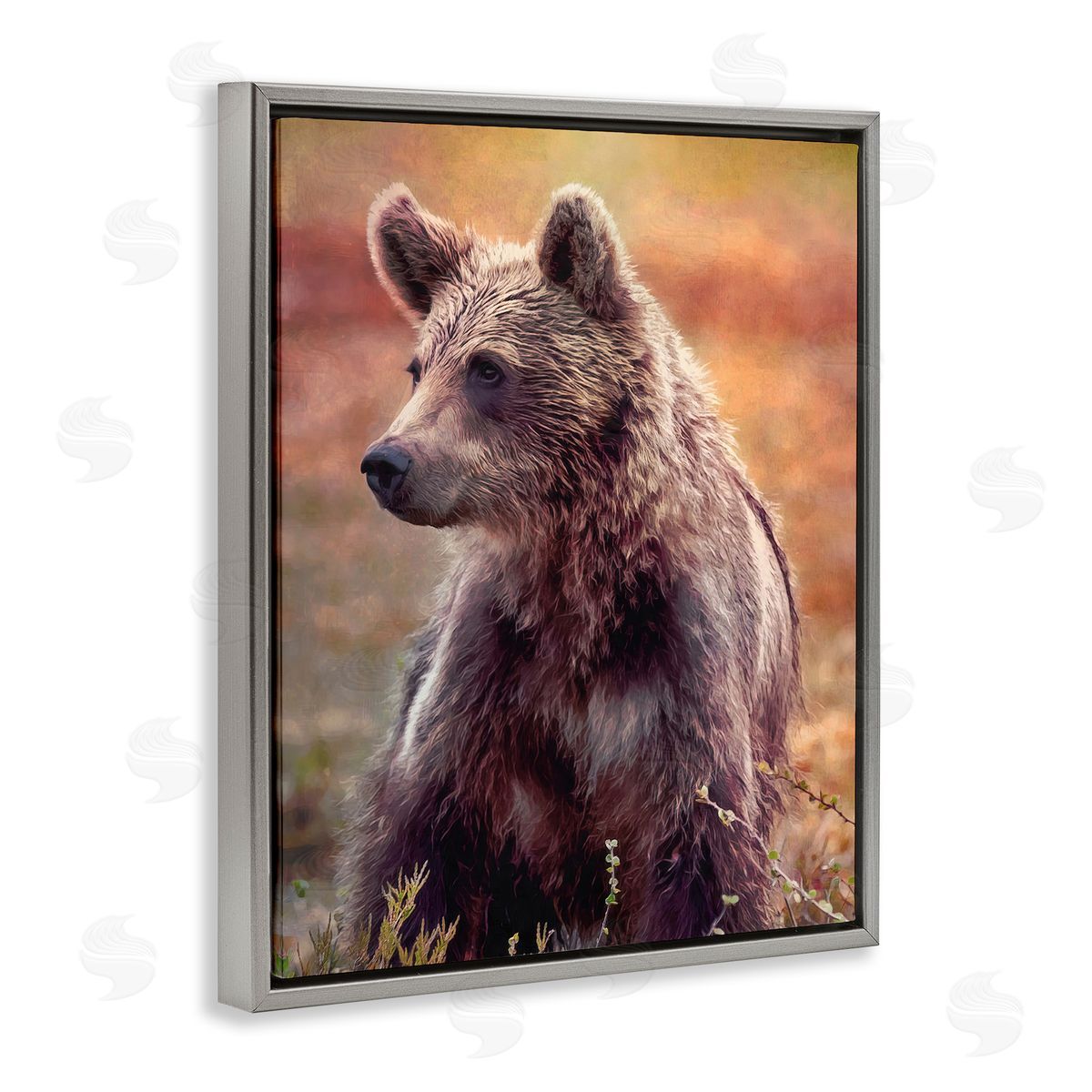 Alpenglow Workshop Majestic Baby Bear Warm Sunlit Forest Habitat  Gray Floating Frame Canvas Wall Art Print