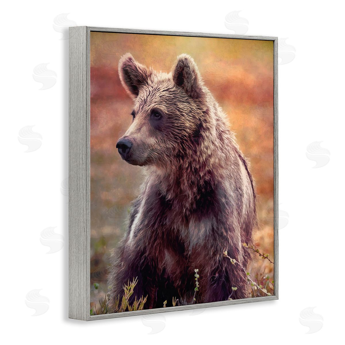 Alpenglow Workshop Majestic Baby Bear Warm Sunlit Forest Habitat  Gray Framed Giclee Wall Art Print