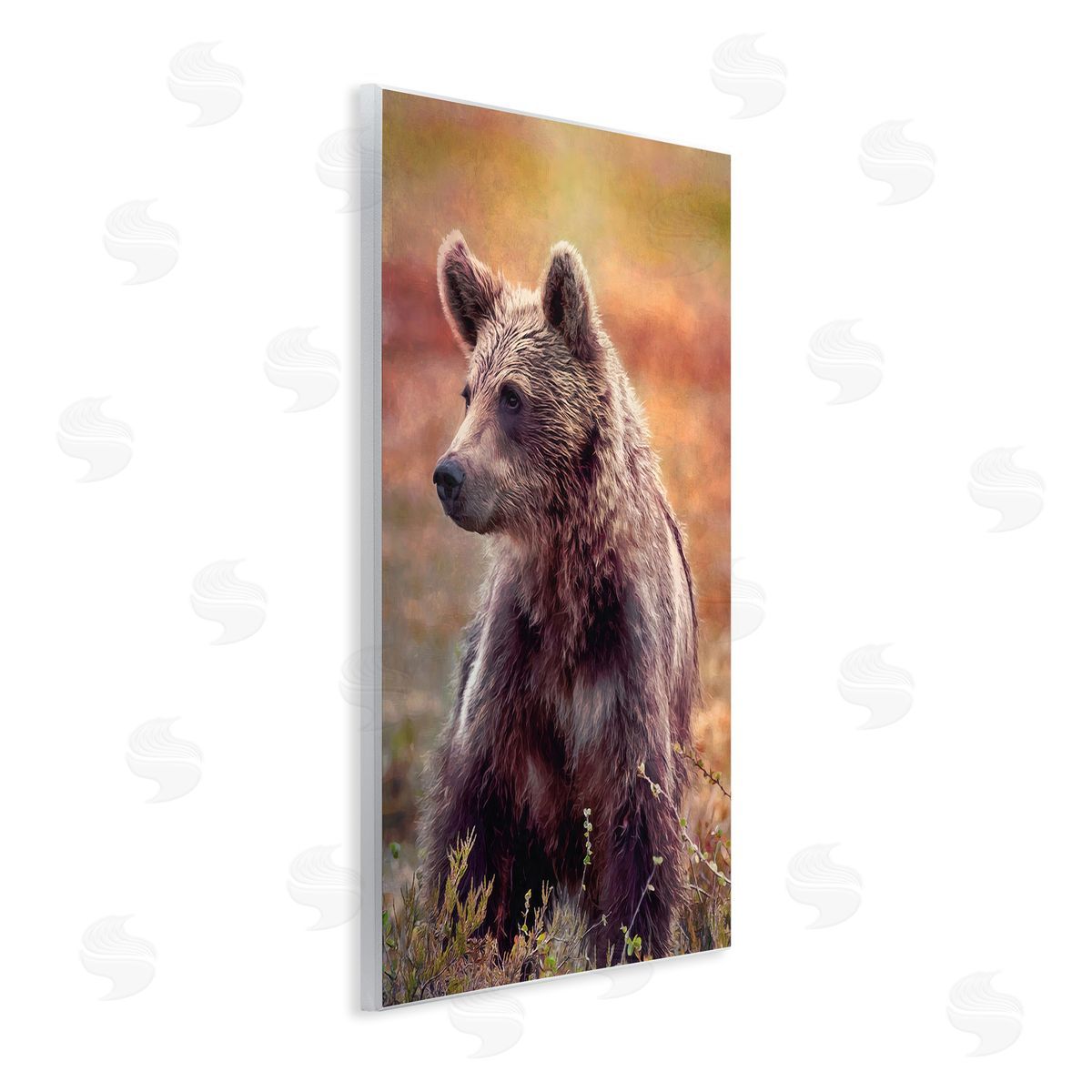 Alpenglow Workshop Majestic Baby Bear Warm Sunlit Forest Habitat  Wall Plaque Art Print