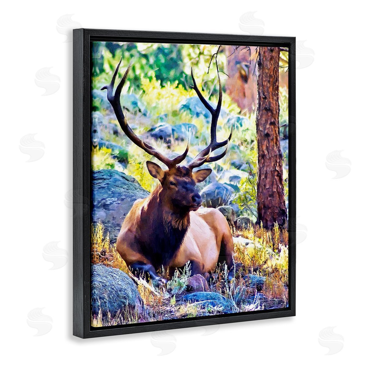 Alpenglow Workshop Stag Deer Resting Amid Forest Trees Natural Wildlife  Black Floating Frame Canvas Wall Art Print