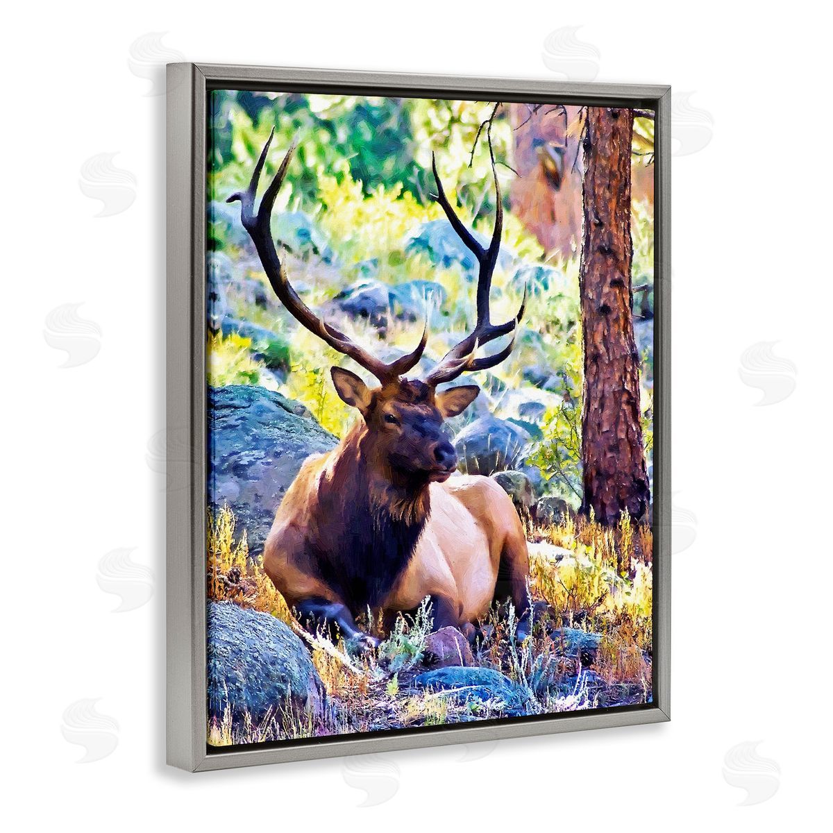 Alpenglow Workshop Stag Deer Resting Amid Forest Trees Natural Wildlife  Gray Floating Frame Canvas Wall Art Print