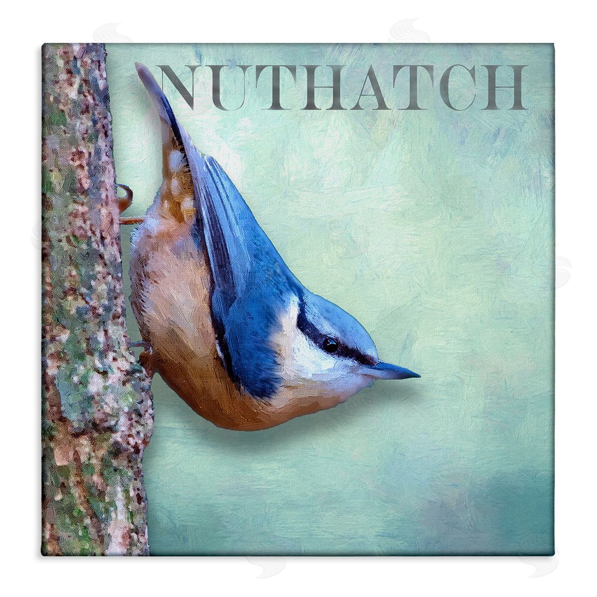 Alpenglow Workshop Blue Nuthatch Bird Climbing Tree Forest Wildlife Stretched Canvas Wall Art Print