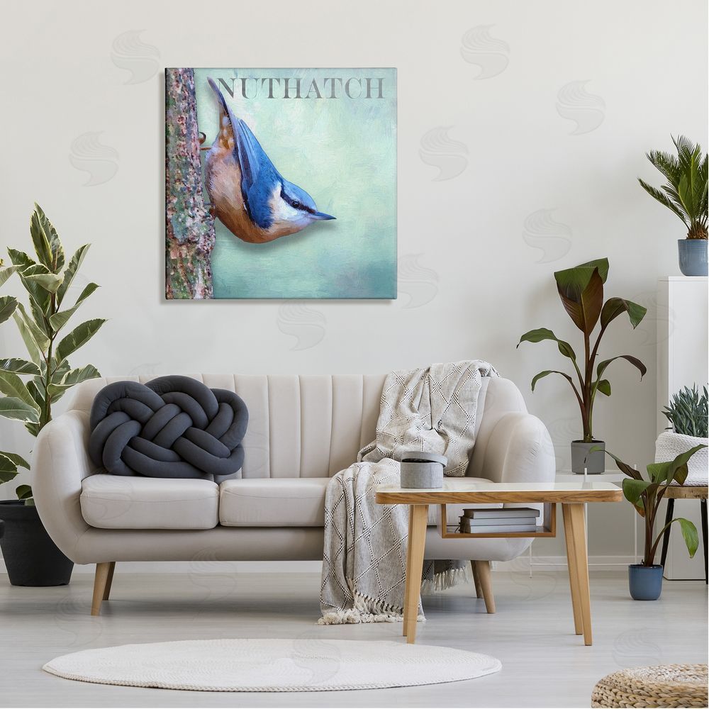 Alpenglow Workshop Blue Nuthatch Bird Climbing Tree Forest Wildlife Canvas Wall Art in Room