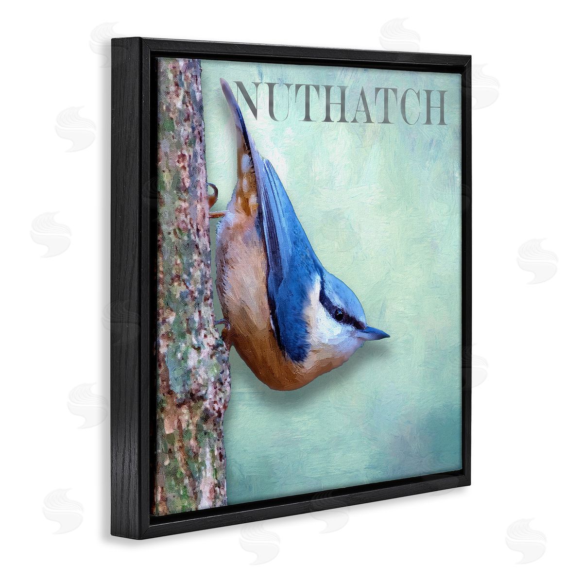 Alpenglow Workshop Blue Nuthatch Bird Climbing Tree Forest Wildlife Black Floating Frame Canvas Wall Art Print