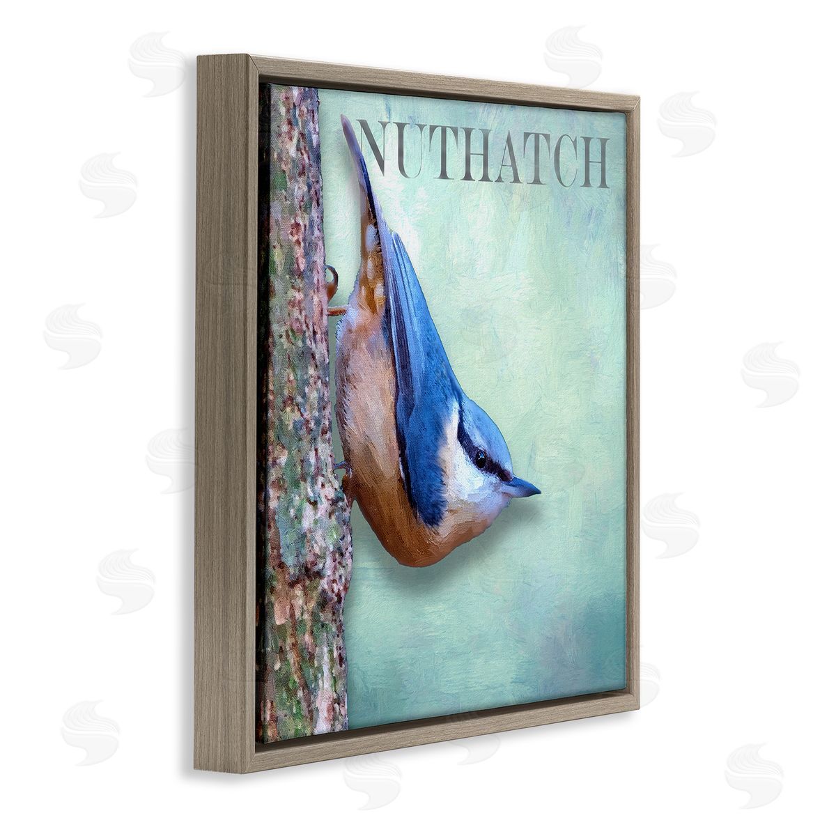 Alpenglow Workshop Blue Nuthatch Bird Climbing Tree Forest Wildlife Brown Floating Frame Canvas Wall Art Print